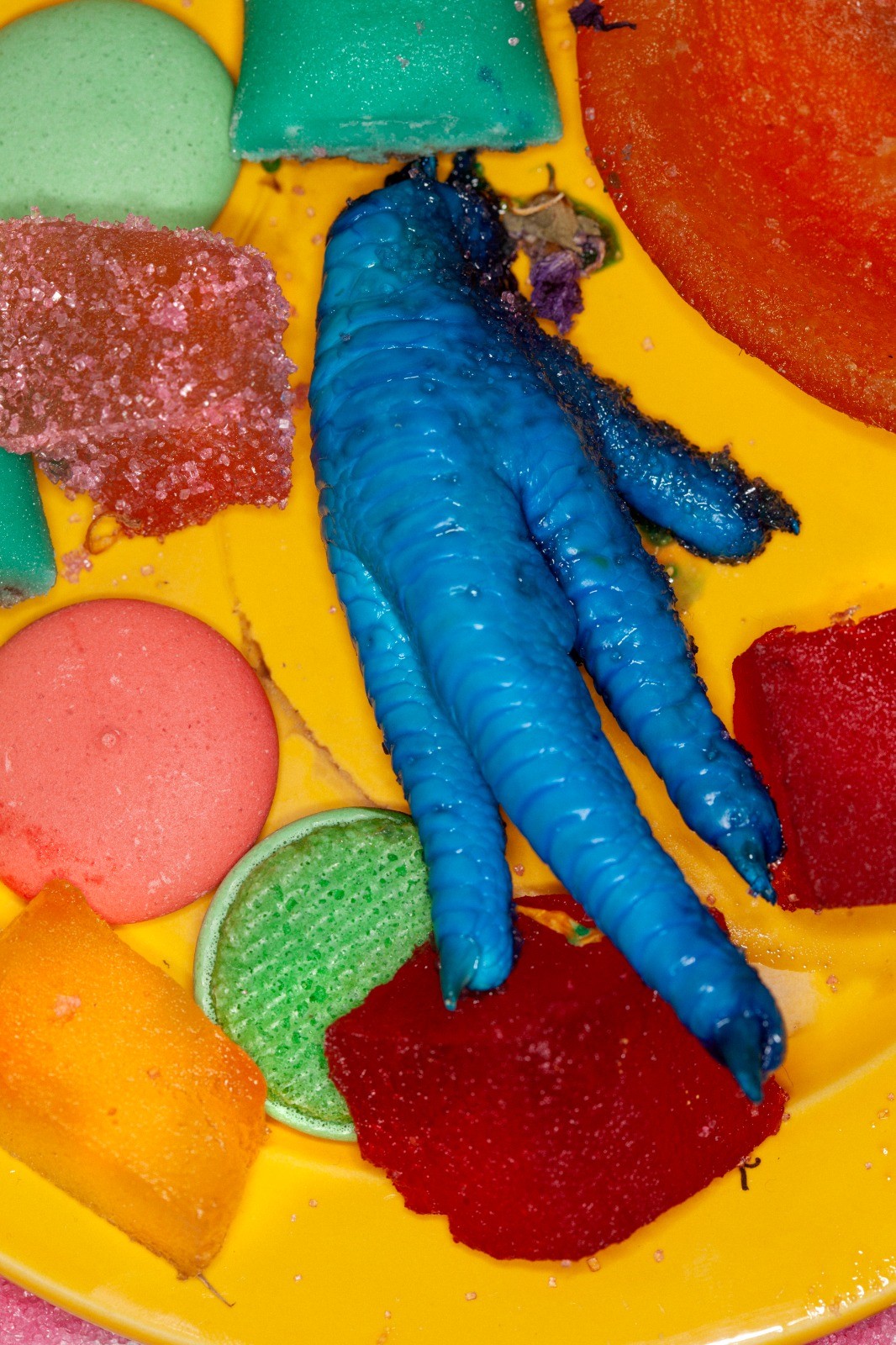 Lampoon magazine x maisie cousins